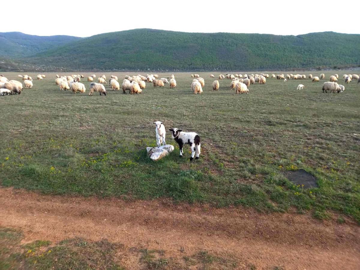 Farma & Apartmani II Opg Sasa Delic Grabusic Εξωτερικό φωτογραφία