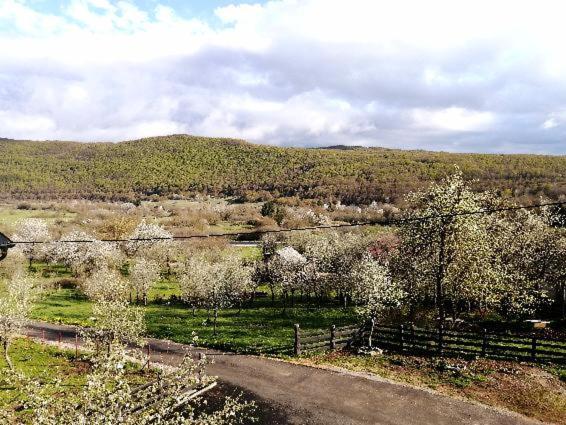 Farma & Apartmani II Opg Sasa Delic Grabusic Εξωτερικό φωτογραφία