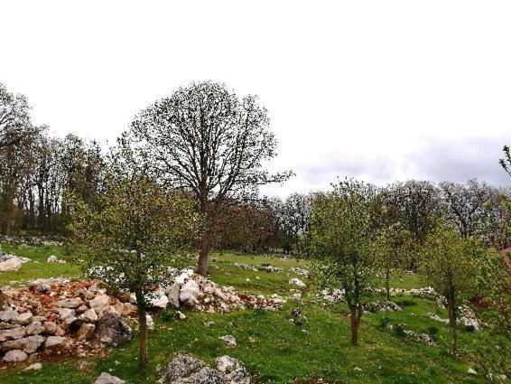 Farma & Apartmani II Opg Sasa Delic Grabusic Εξωτερικό φωτογραφία